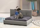 elegir una cama para mi perro